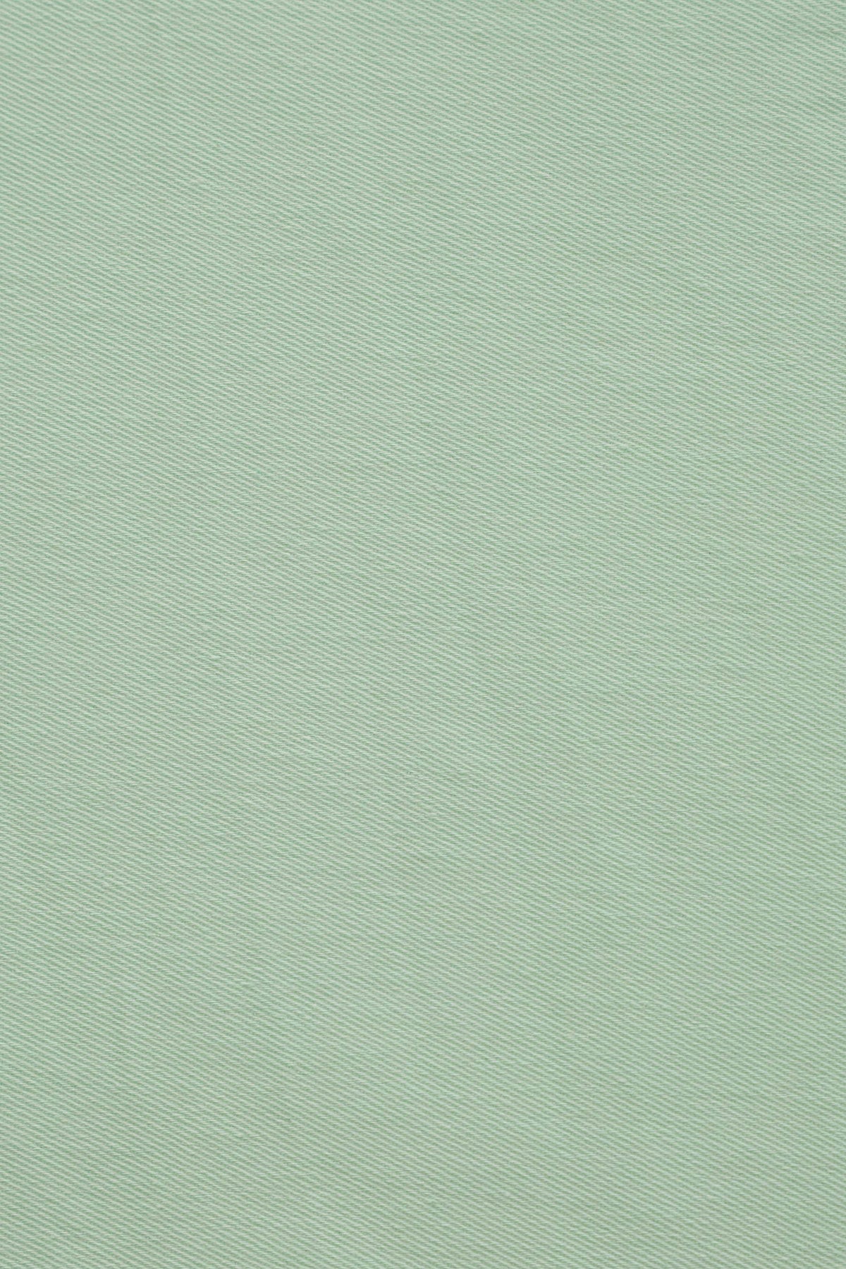 Darlene Light Green Roll Collar Circle Dress