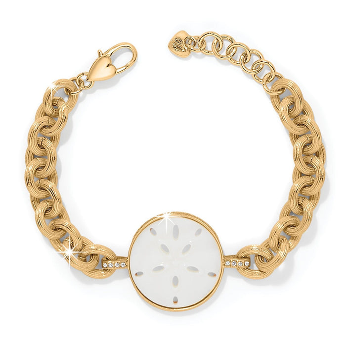 Brighton bracelet with mother-of-pearl shell sand dollar centerpiece, crystal accents, and gold-plated chain on a white background
