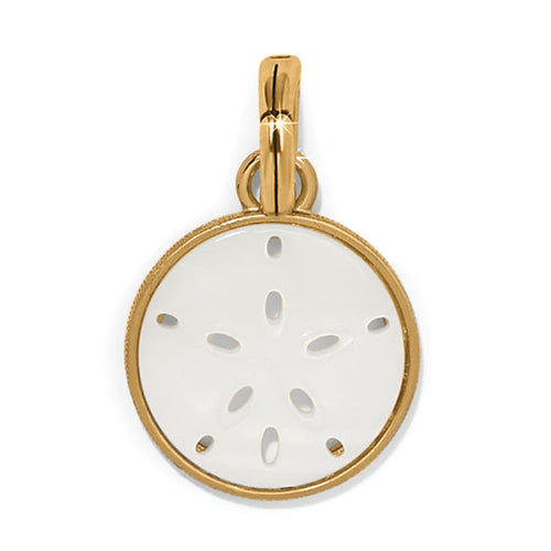 Brighton sand dollar charm with mother of pearl shell and gold plated frame on a white background