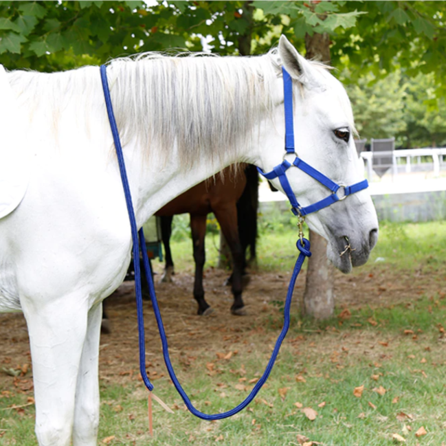 Green Lead Rope / 3 m - Dogs and Horses