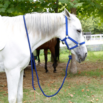 Green Lead Rope / 3 m - Dogs and Horses