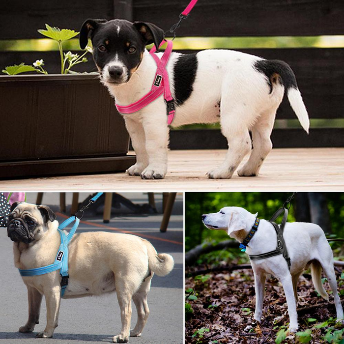 Green No Pull Reflective Harness - Dogs and Horses