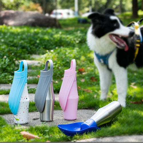 Insulated Dog Water Bottle | Stainless Steel | Portable & Foldable | Leak-Proof | 27oz/750ml