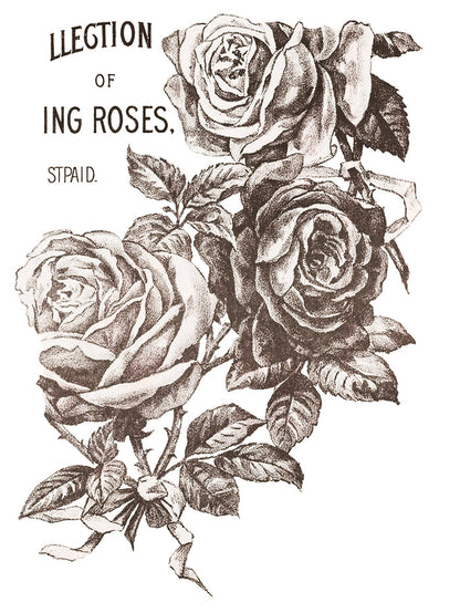 IOD May's Roses Transfer 12x16 Pad