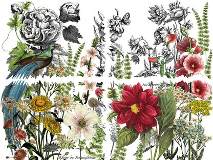 IOD Midnight Garden Transfer 12x16 Pad