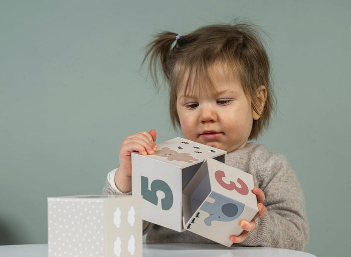 JaBaDaBaDo Play and Learn box 12-18 months