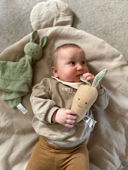 JaBaDaBaDo Rattle Carrot