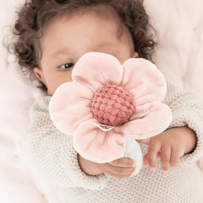 Little Dutch Fairy Garden Rattle Flower