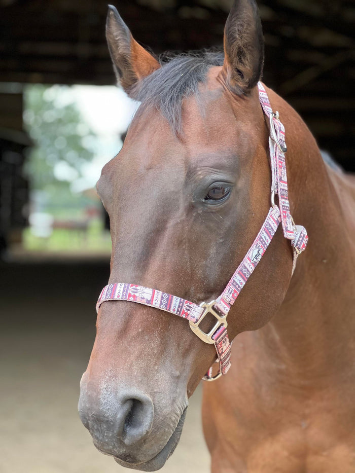 Made to Order Nylon Halter – 3‑Ply Custom Nylon Halter with Throat Clip