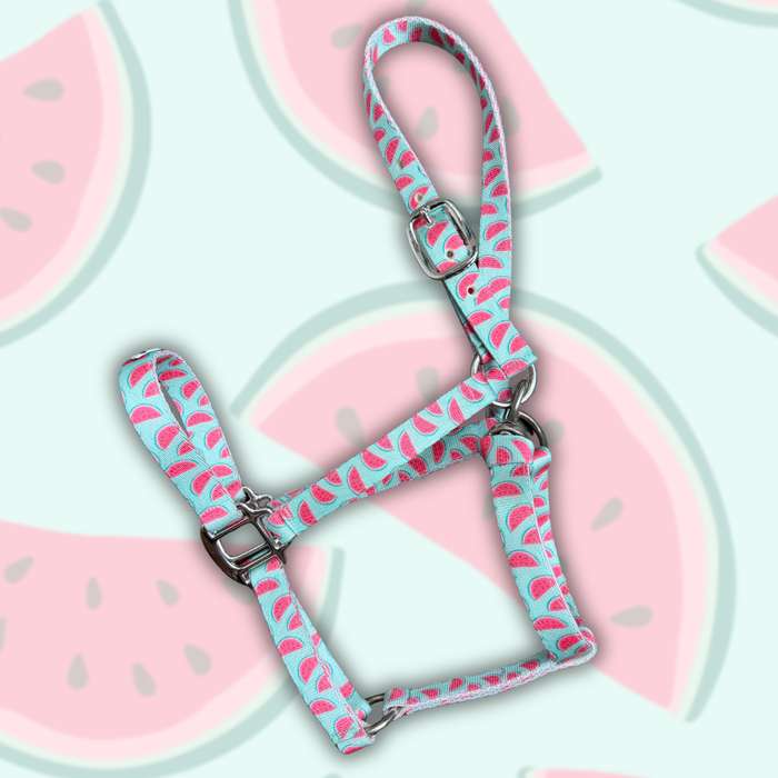 Made to Order Nylon Halter – 3‑Ply Custom Nylon Halter with Throat Clip