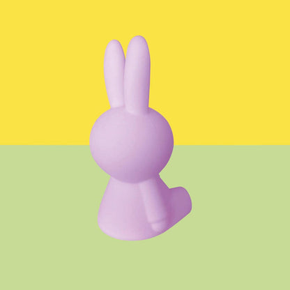 Mr Maria Miffy Colourful Surprise Collection