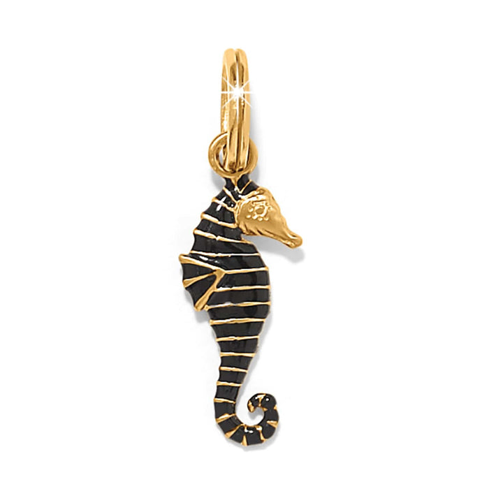 Brighton seahorse charm with black enamel stripes and gold-plated finish featuring a curled tail on a white background