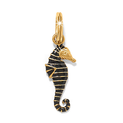 Brighton seahorse charm with black enamel stripes and gold-plated finish featuring a curled tail on a white background